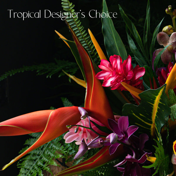Tropical Designer's choice flower Delivery