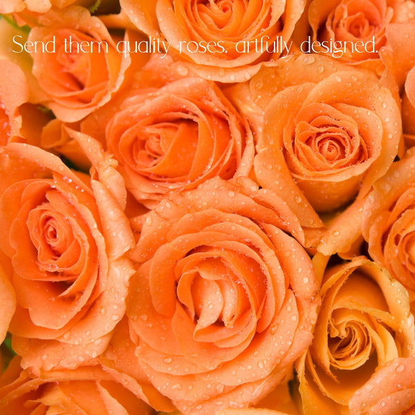 Roses for Delivery in Denver - Premium quality, long lasting.