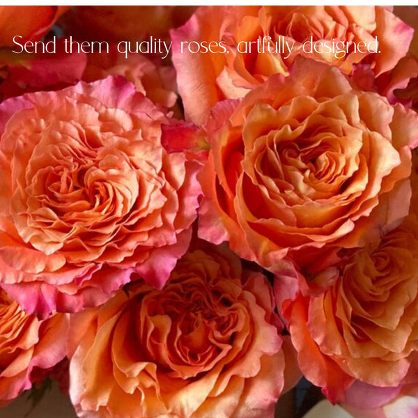 Roses for Delivery in Denver - Premium quality, long lasting.