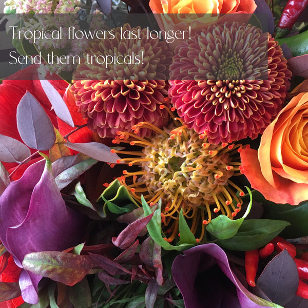Tropical Designer's choice flower Delivery