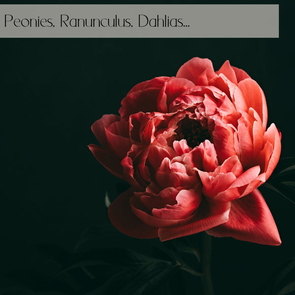 Romantic Designer's choice flower delivery