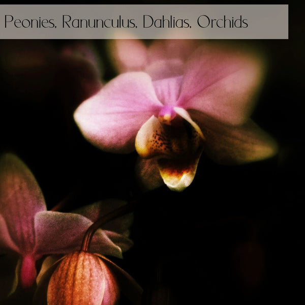 Romantic Designer's choice flower delivery