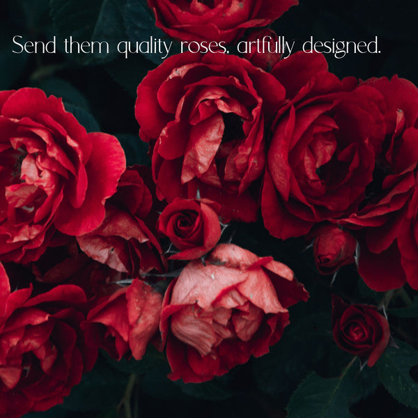 Roses for Delivery in Denver - Premium quality, long lasting.