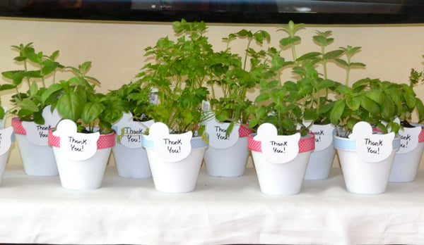 HERB WEDDING FAVOR
