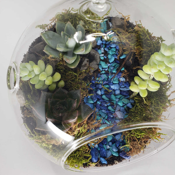 MONDO - GLOBE TERRARIUM
