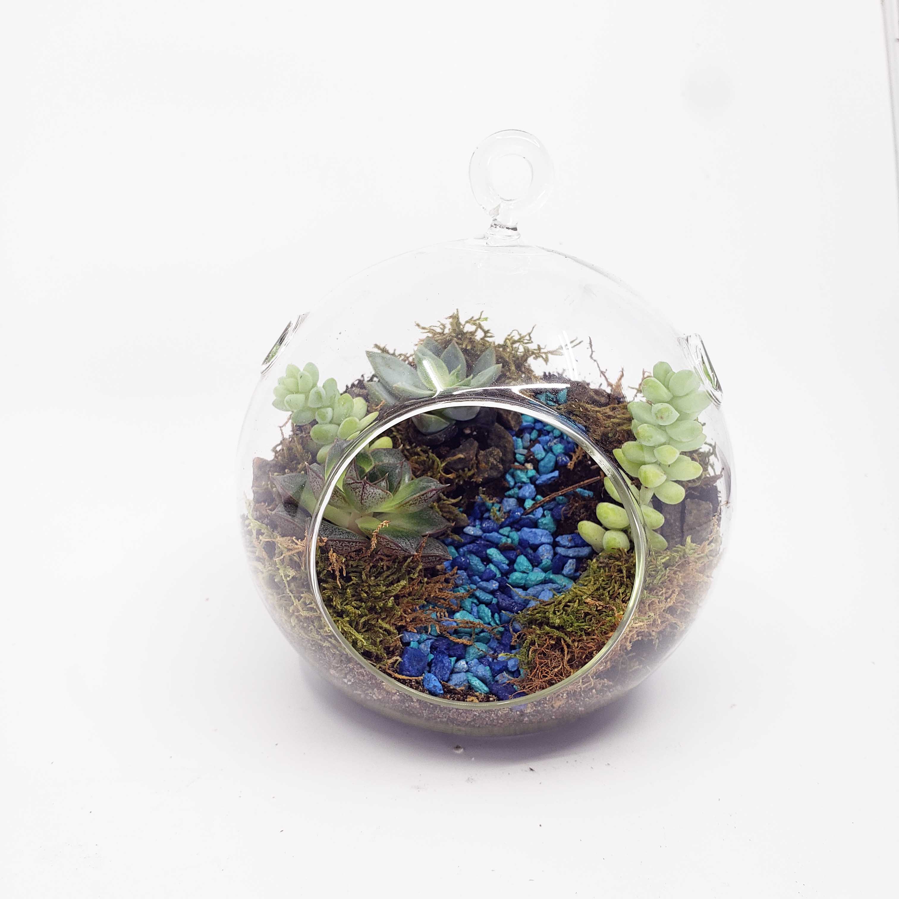 plant globe terrarium MONDO