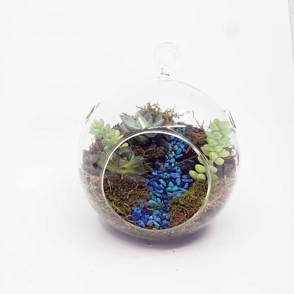 MONDO - GLOBE TERRARIUM