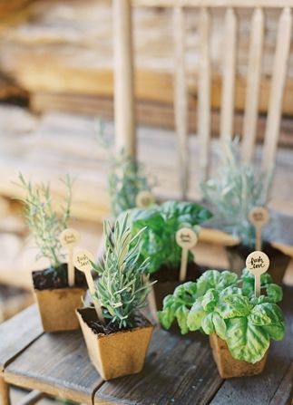 HERB WEDDING FAVOR