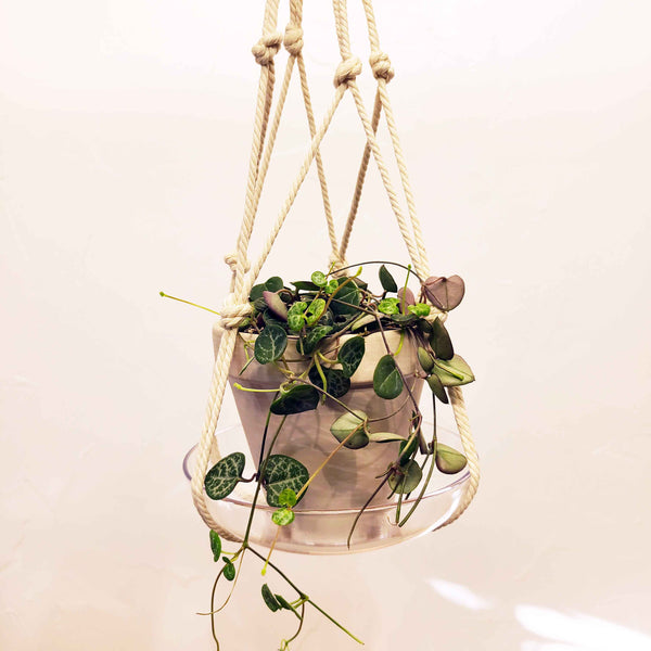 hanging macrame for string of hearts