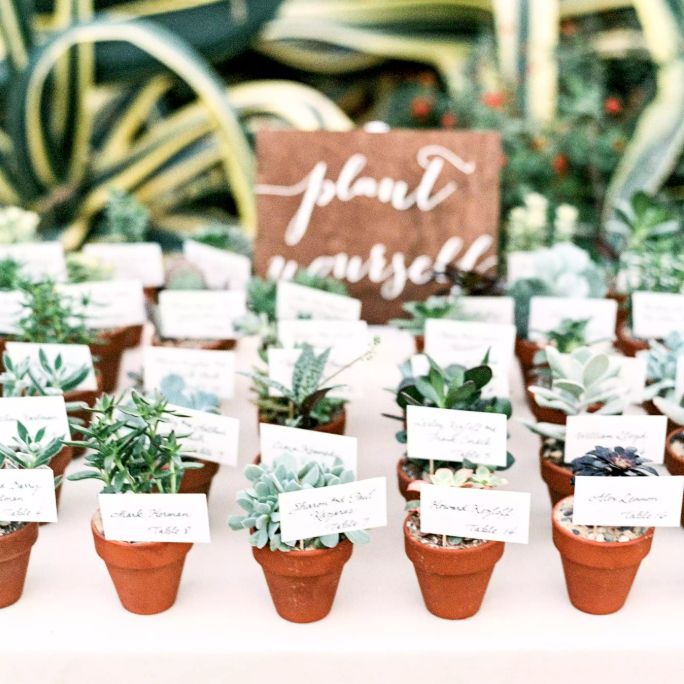 house plant wedding gift SUCCULENT WEDDING FAVORS – Denver Plant Delivery