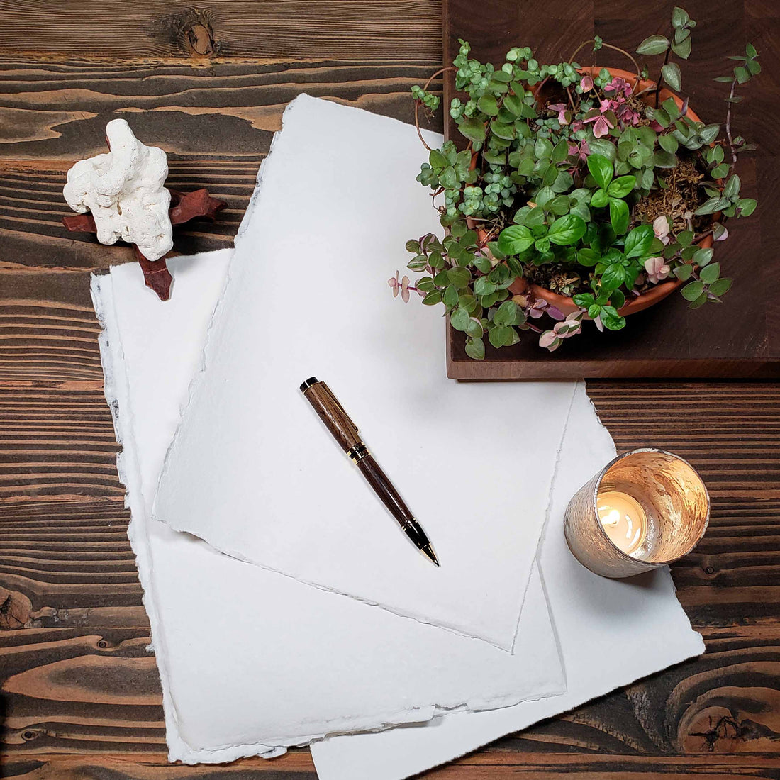 Use Plants in your work from home space! #WFH