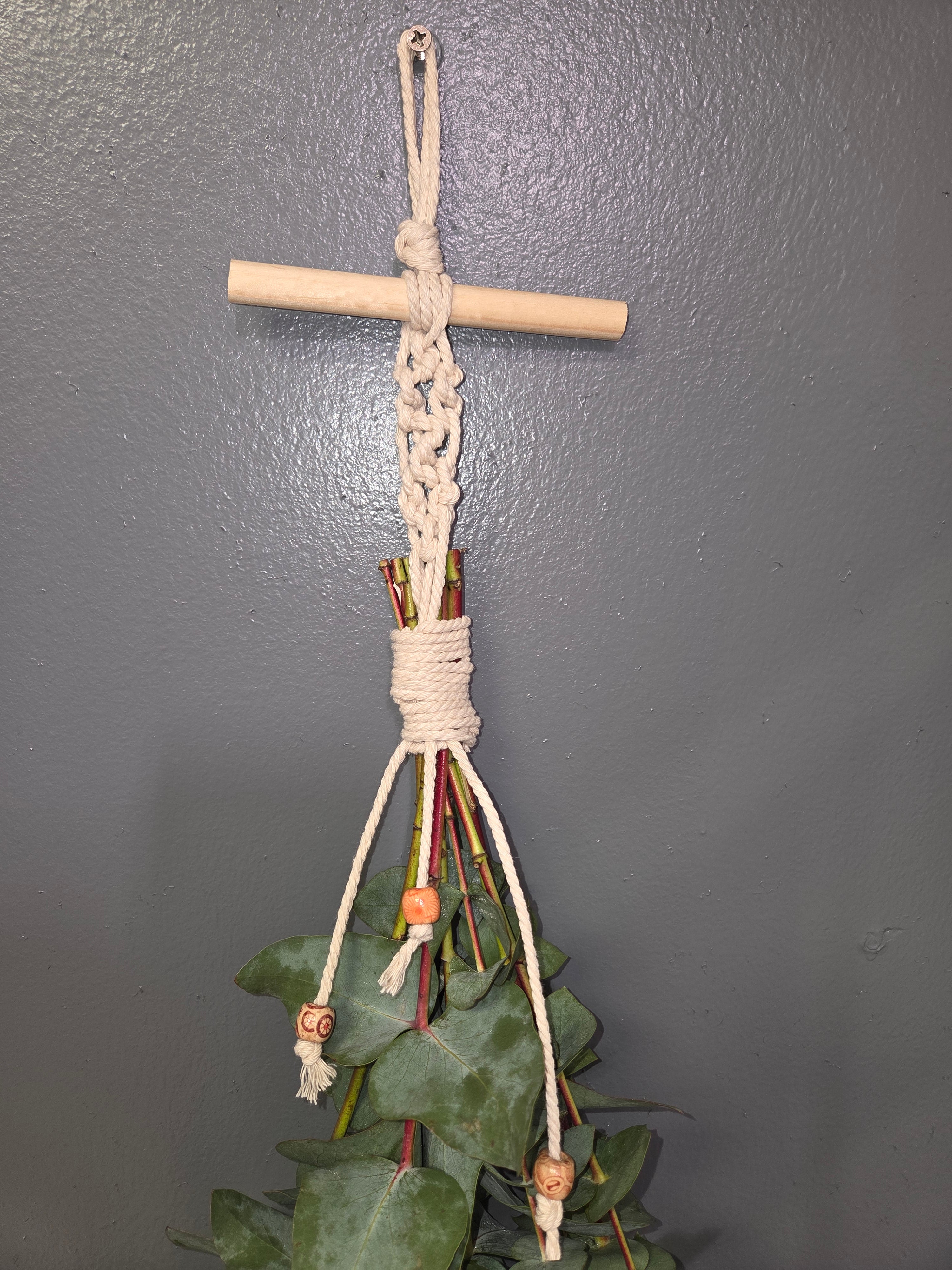 hanging eucalyptus plant for sale EUCALYPTUS SHOWER HANGING BUNCH – Denver Plant Delivery