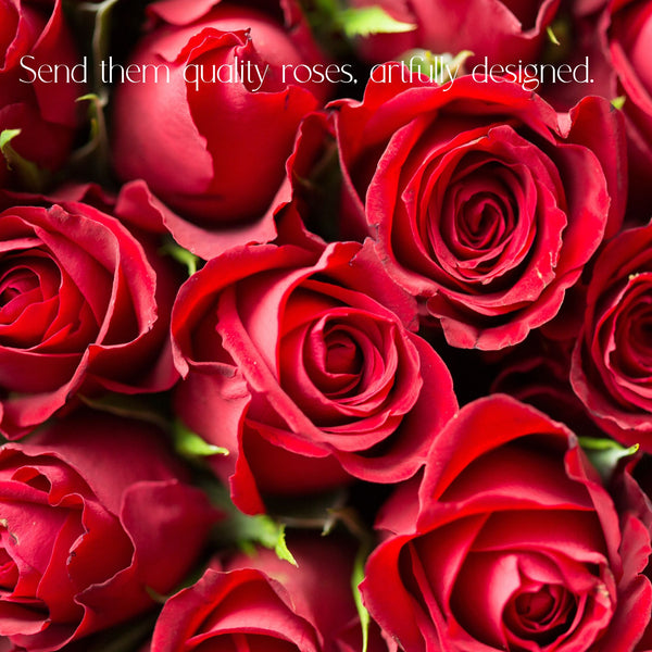 Roses for Delivery in Denver - Premium quality, long lasting.