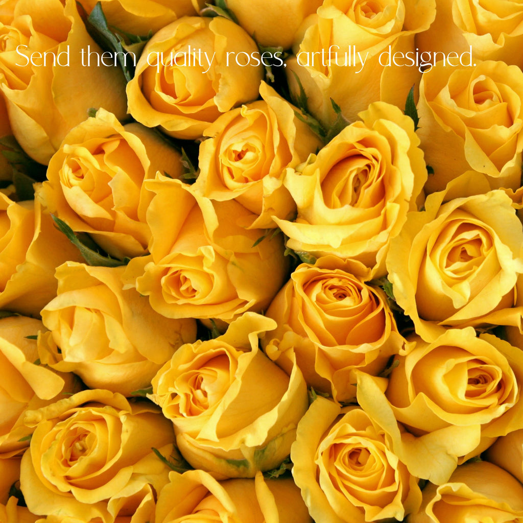 Roses for Delivery in Denver - Premium quality, long lasting.