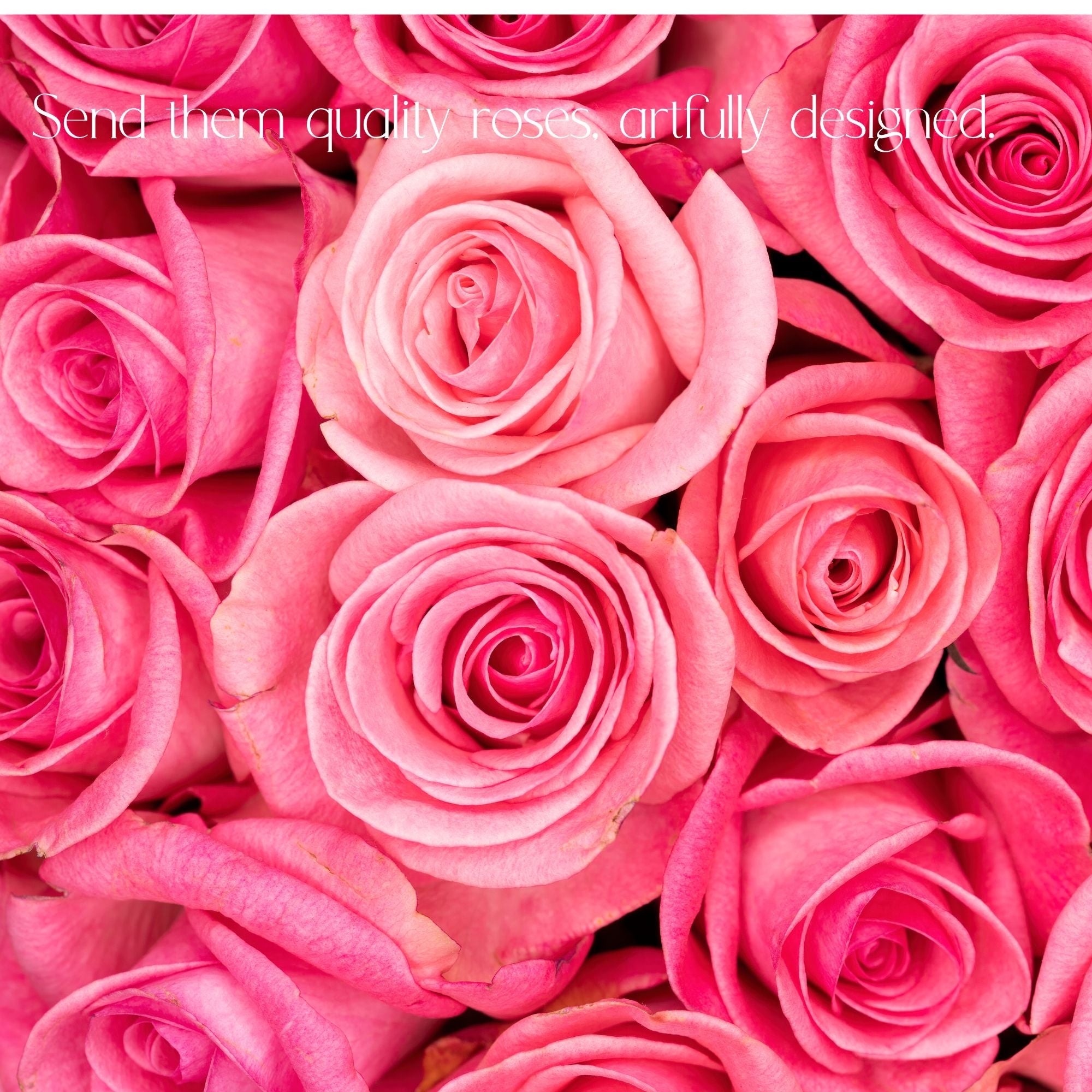 Roses for Delivery in Denver - Premium quality, long lasting.