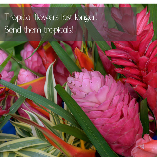 Tropical Designer's choice flower Delivery