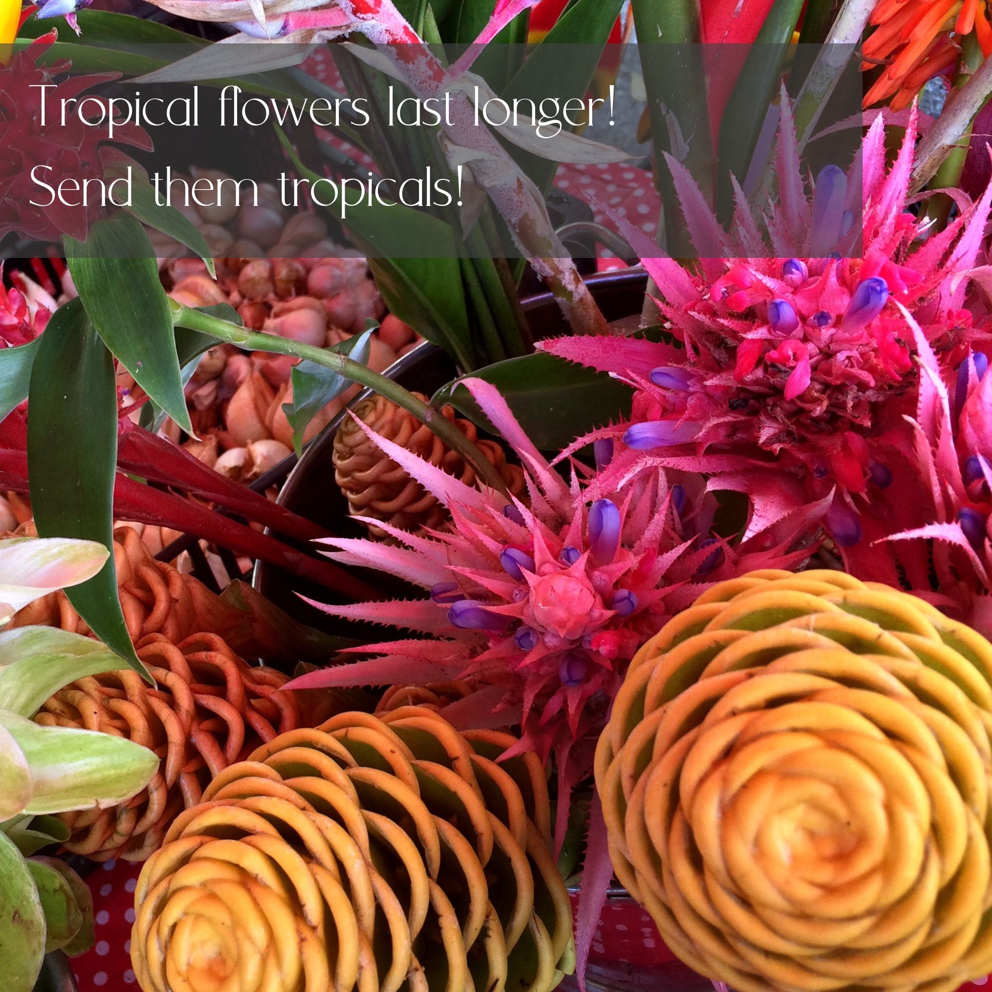 Tropical Designer's choice flower Delivery