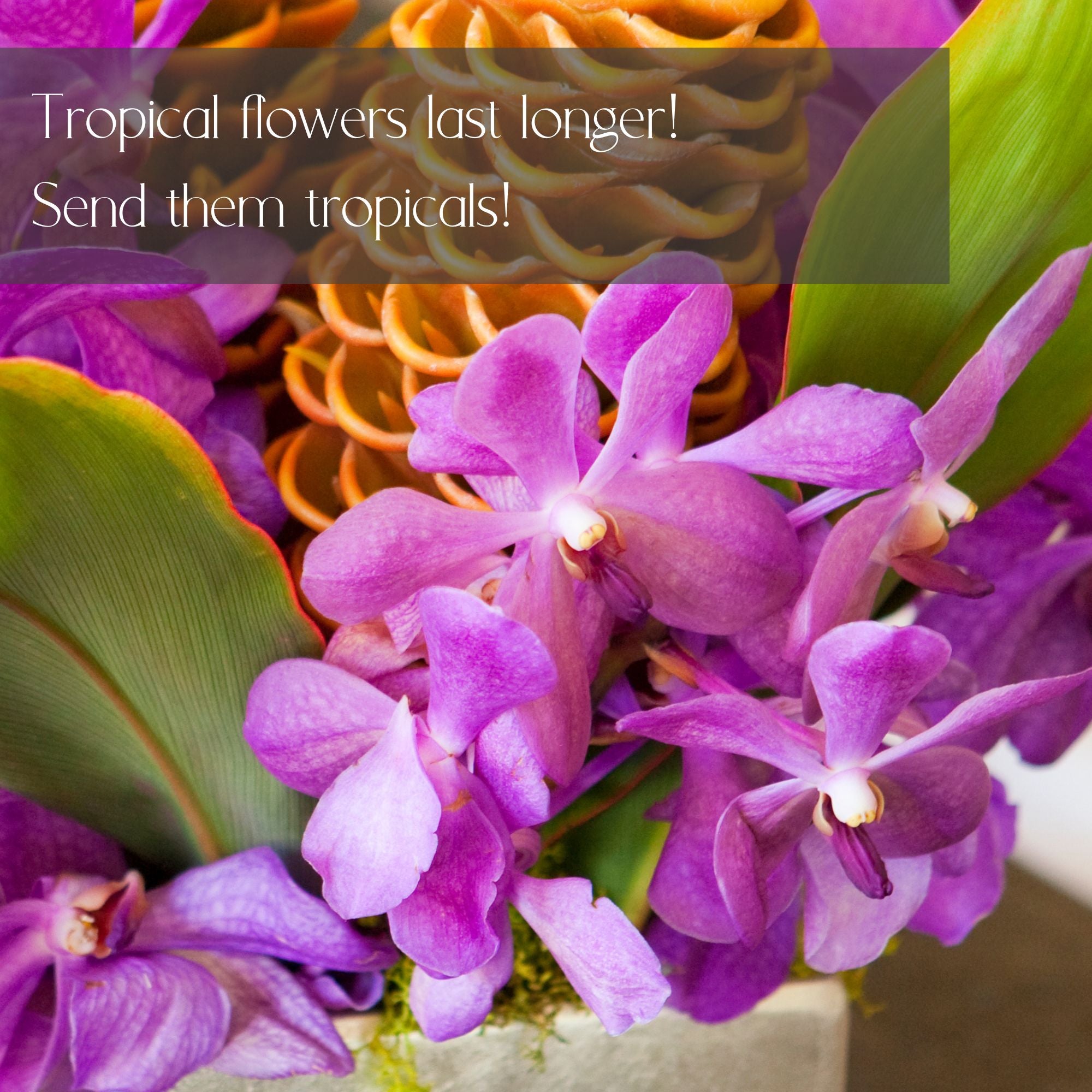 Tropical Designer's choice flower Delivery