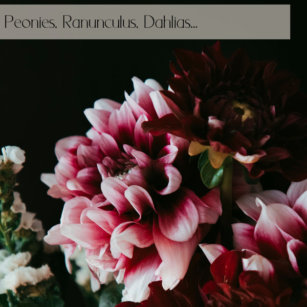 Romantic Designer's choice flower delivery