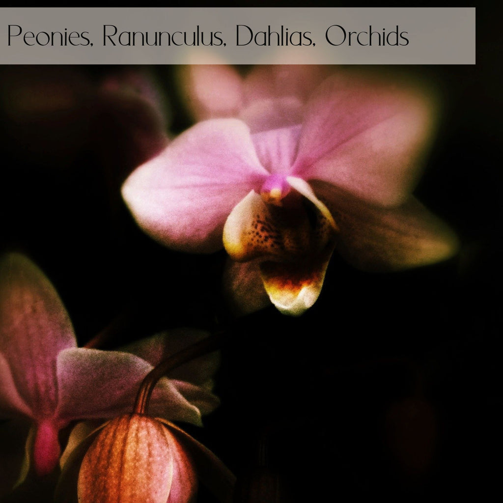 Romantic Designer's choice flower delivery