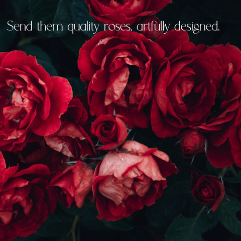 Roses for Delivery in Denver - Premium quality, long lasting.