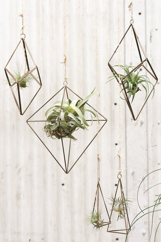 Airplant Hanger - metal geometric