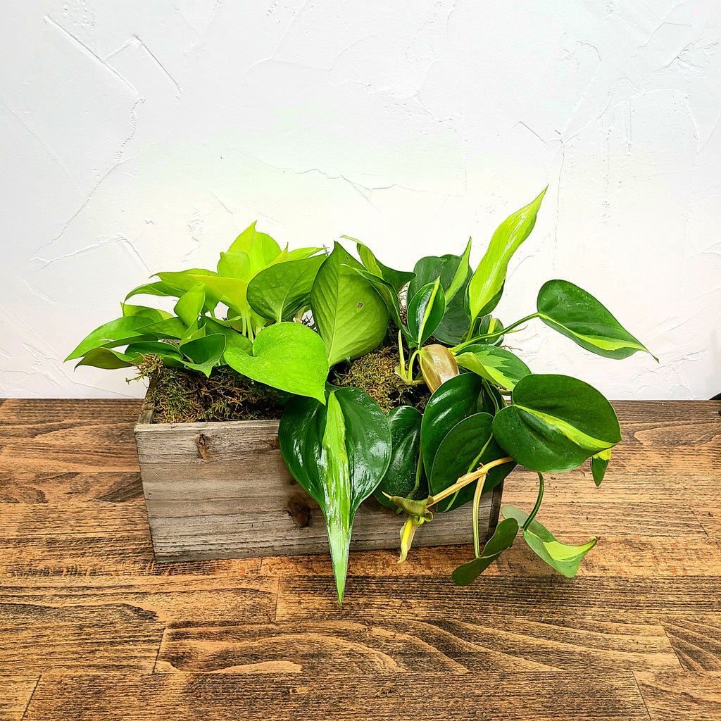 best centerpiece delivery denver thanksgiving