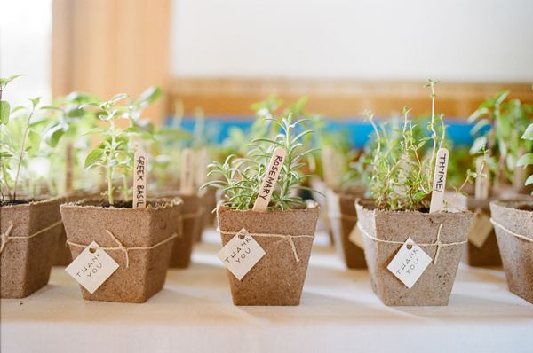 HERB WEDDING FAVOR