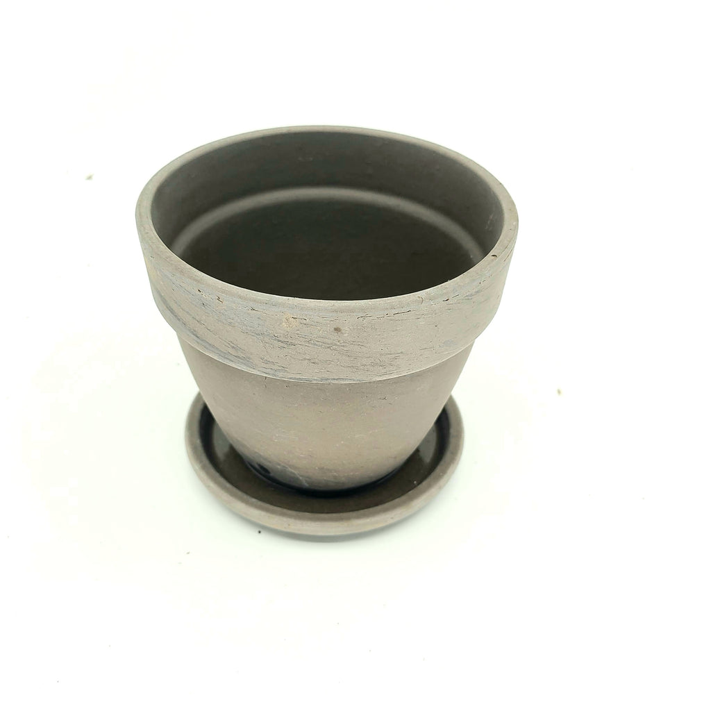 HARMONY - HOYA HINDU ROPE