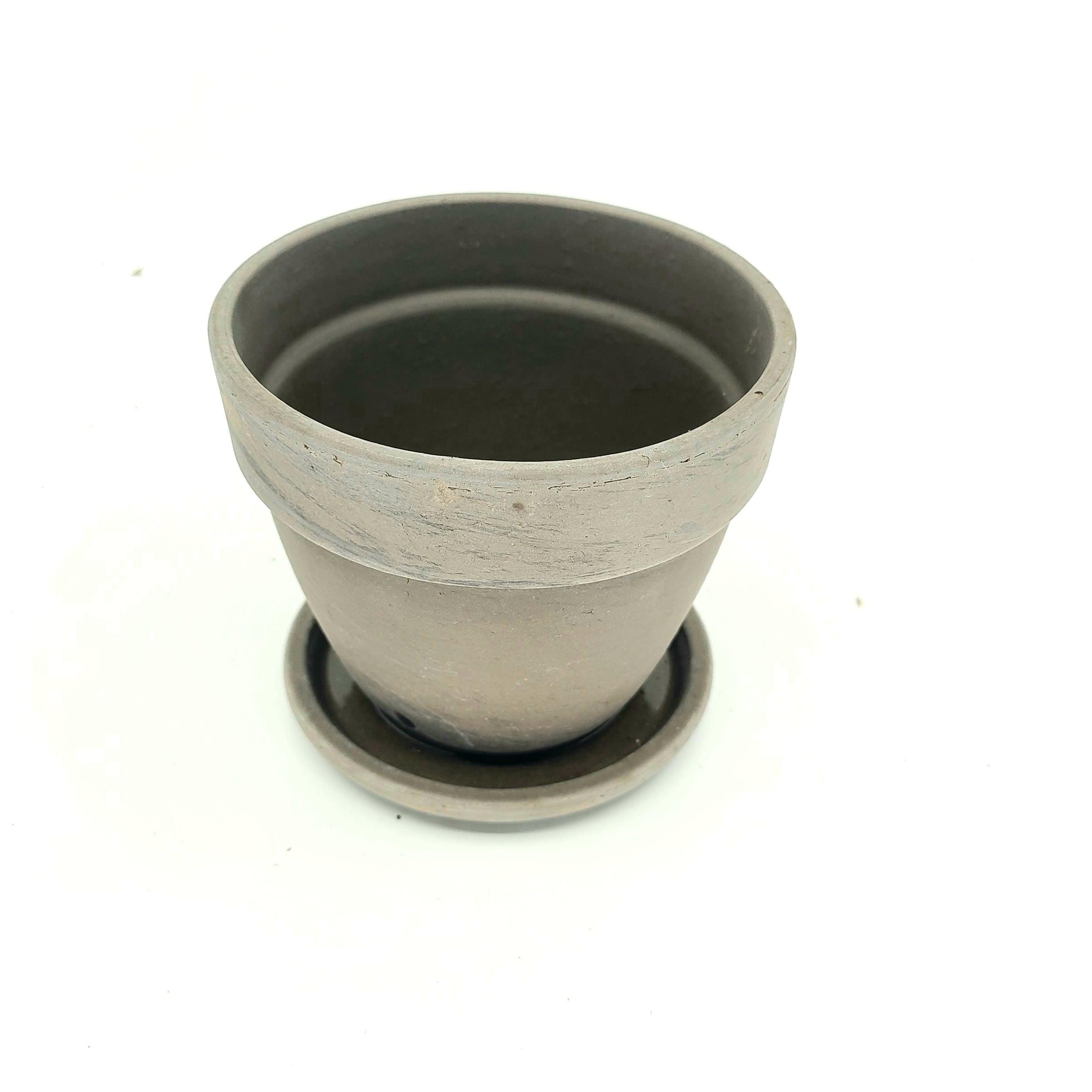 HARMONY - HOYA HINDU ROPE