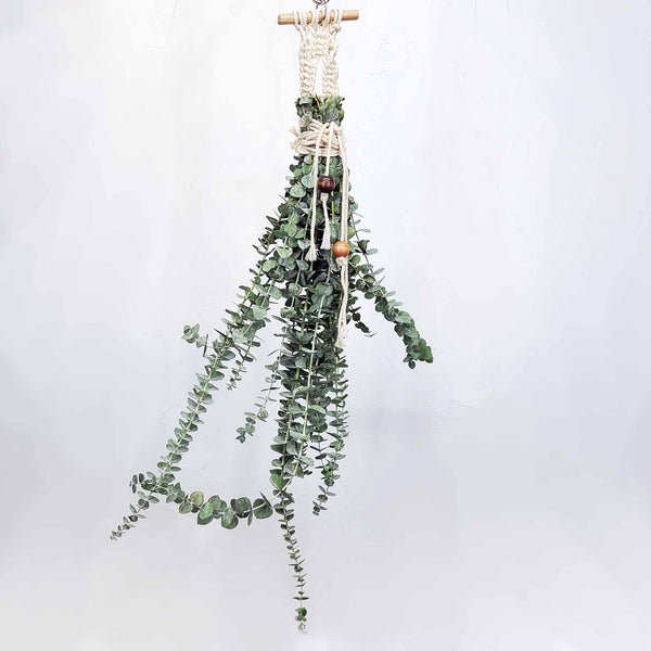 EUCALYPTUS SHOWER HANGING BUNCH