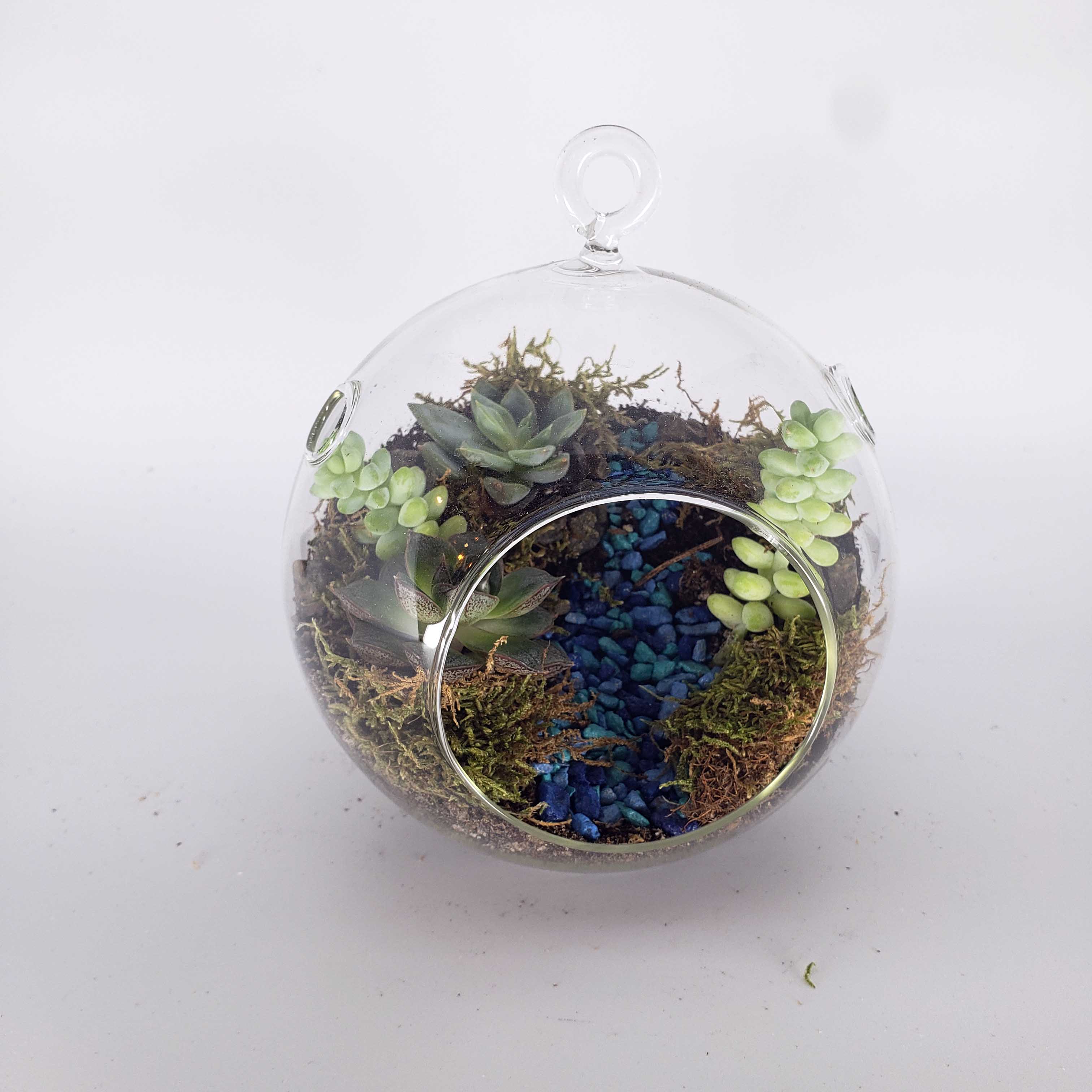 MONDO - GLOBE TERRARIUM