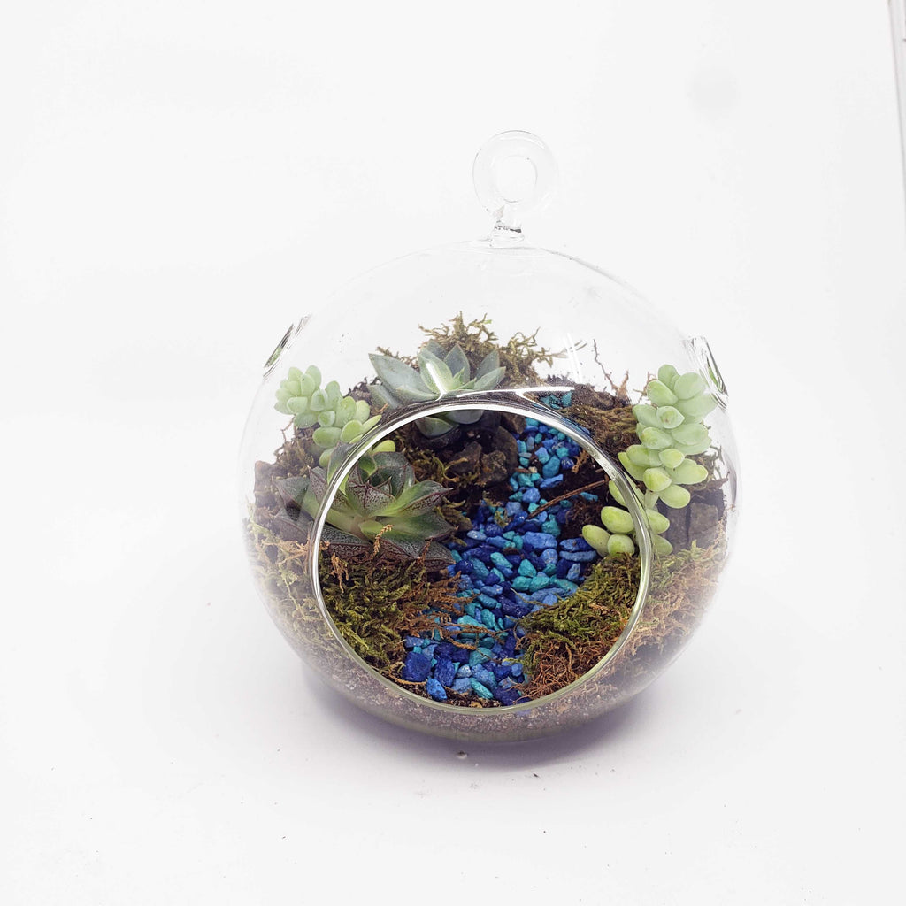 MONDO - GLOBE TERRARIUM