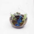 MONDO - GLOBE TERRARIUM