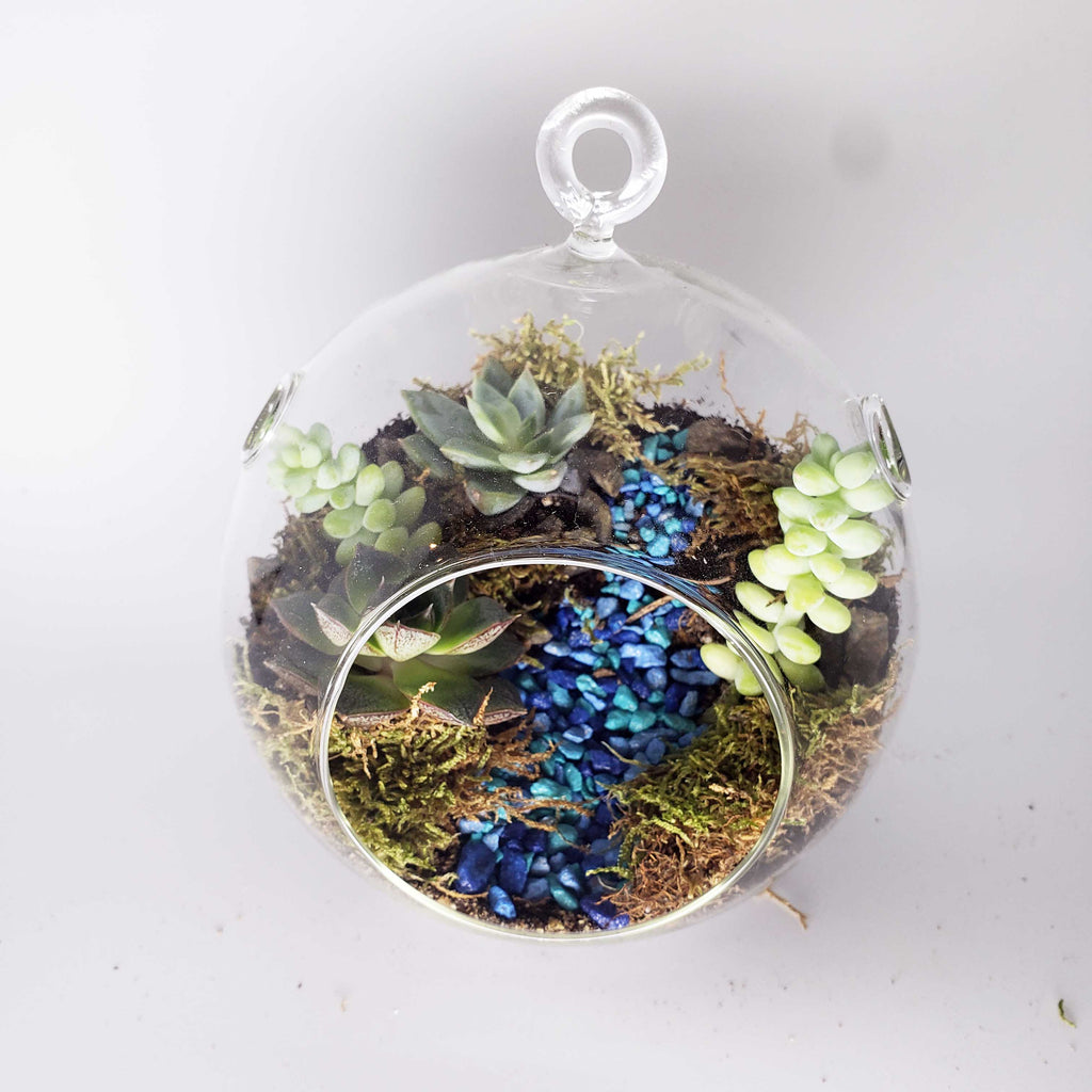 MONDO - GLOBE TERRARIUM