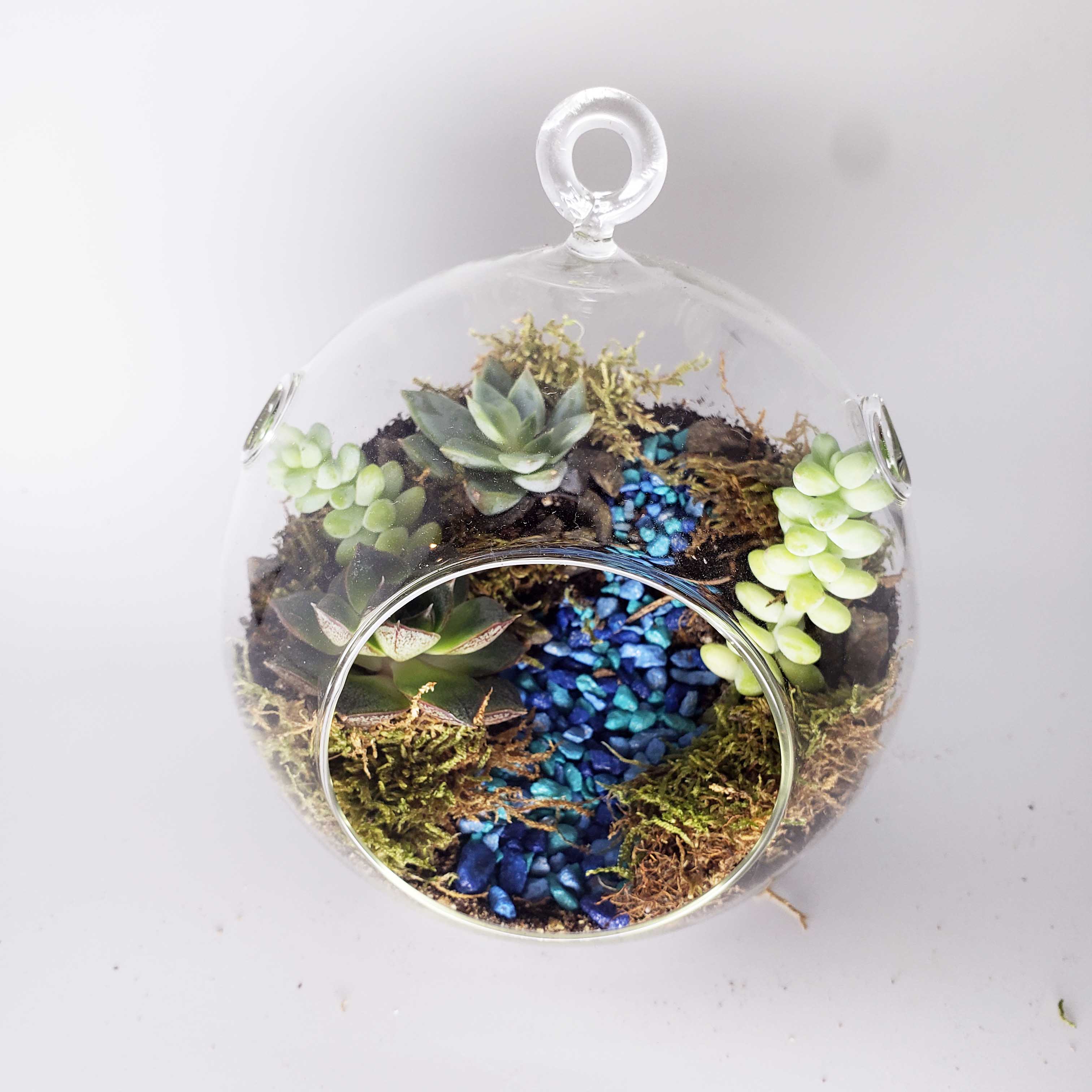 MONDO - GLOBE TERRARIUM