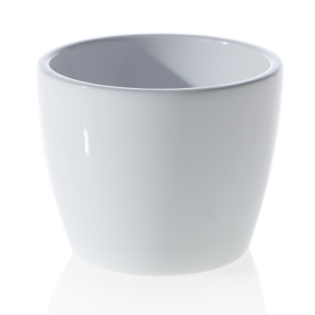 white pot for succulents