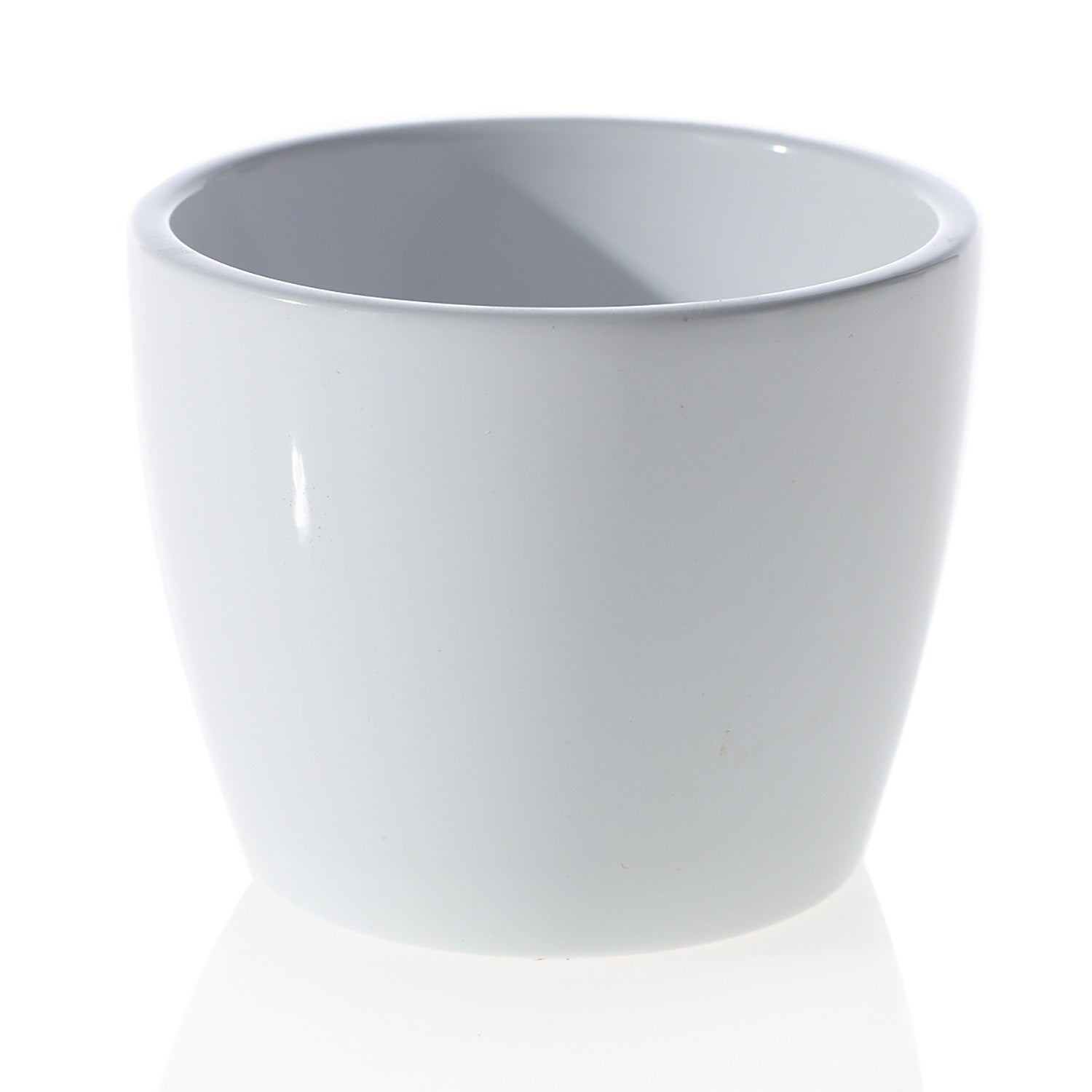 white pot for succulents