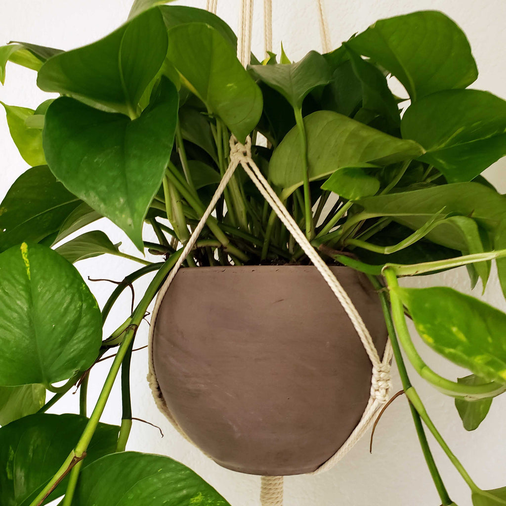 MACRAME plant hanger