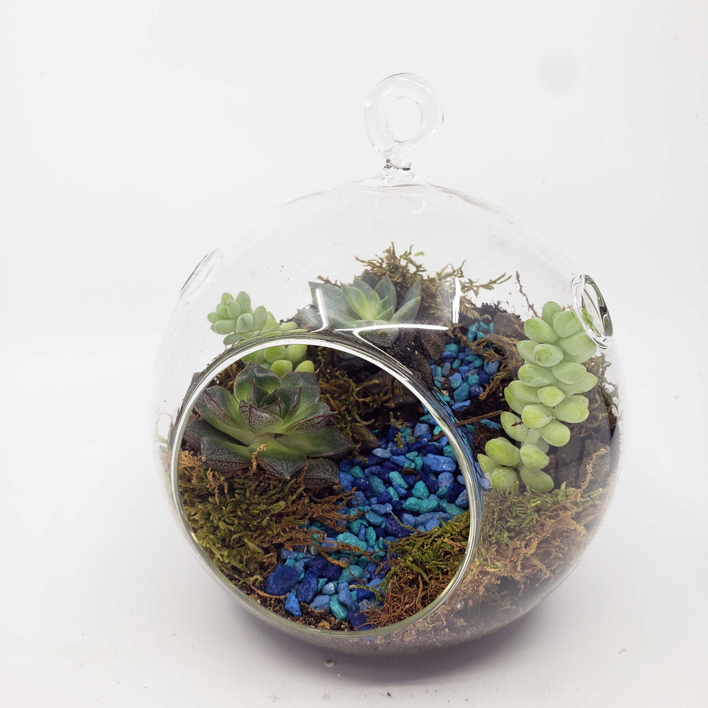 MONDO - GLOBE TERRARIUM