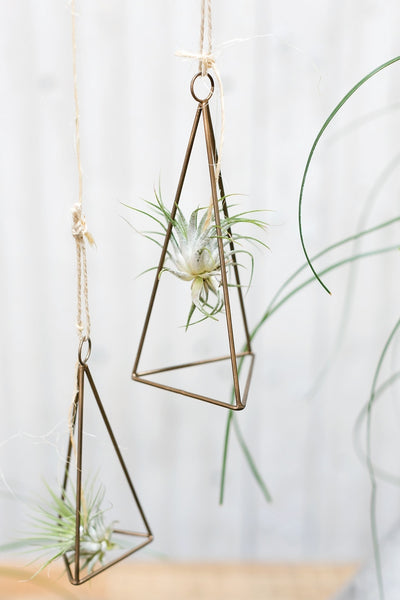 Airplant Hanger - metal geometric