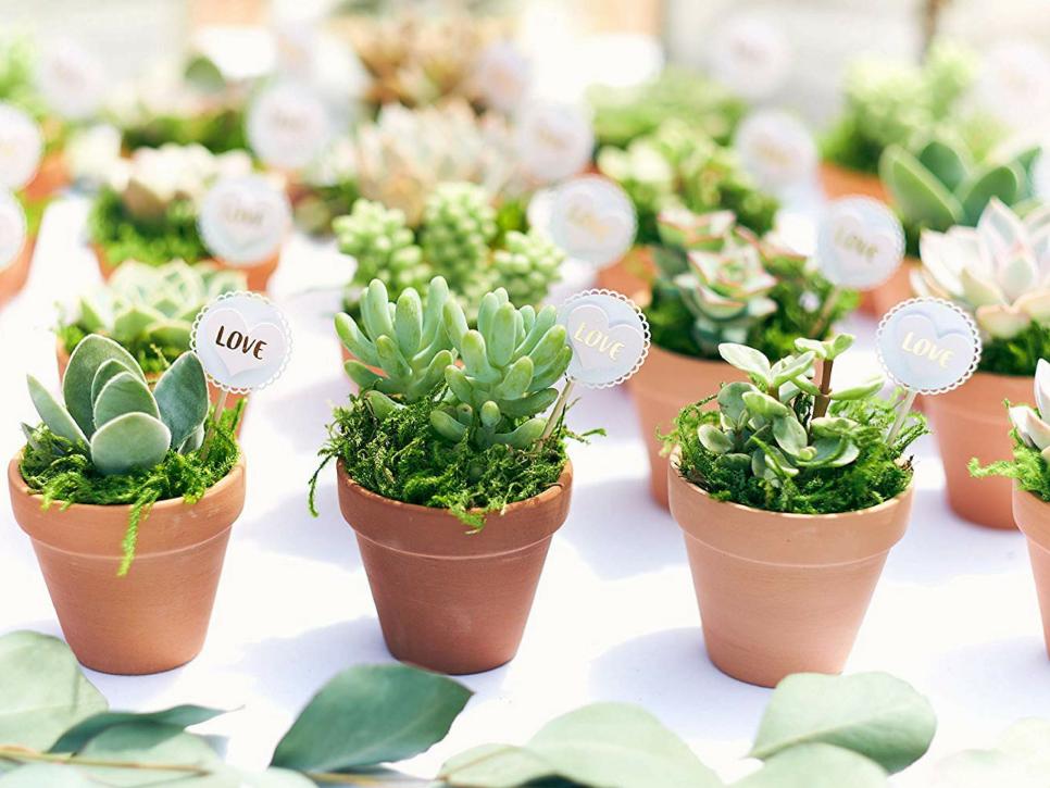 SUCCULENT WEDDING FAVORS